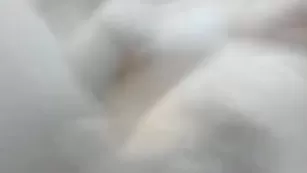 Сисястая бестия fionaandjimmy ласкает половые губки