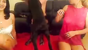 Три сексуальные лесбиянки эротично раздеваются