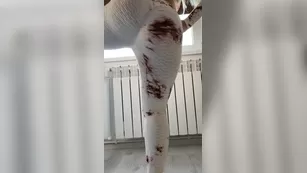 aylinaysun a_little_tease_of_my_home_workout_today._wanna_join_on_my_next_workout_routine Адалт вэбкамс чат для бесплатное порно реальный секс