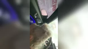 celinapowell I just sucked the soul out jimmysmacks dick at the ca Адалт вэбкамс чат для бесплатное порно