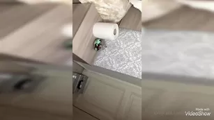 rebeccaferraz3 28 11 2020 Come n get it Адалт вэбкамс чат для бесплатное порно