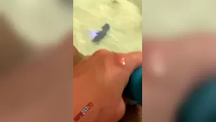 Phoenix Starr bathtub play порно реальный секс