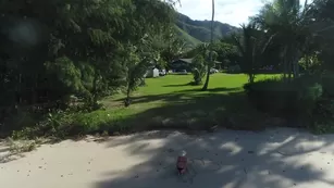 Emma Hix секс on a beach in hawai порно реальный секс