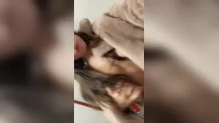 Violet Summers Sweater try-on I’m the dressing room snapchat premium 2020/12/24 порно реальный секс