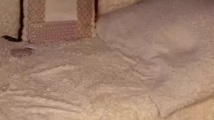 patry333 Chaturbate реальный порно cam бесплатное girls