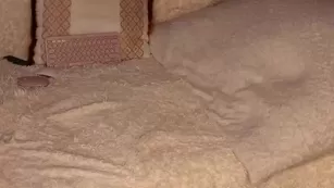 patry333 Chaturbate реальный порно cam бесплатное girls