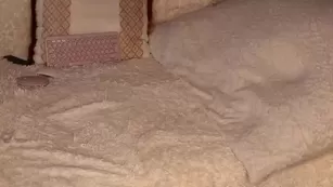 patry333 Chaturbate реальный порно cam бесплатное girls