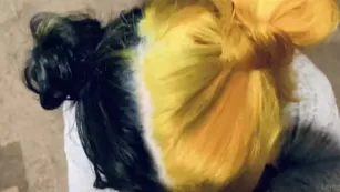 gwy_ther here s a from just a bit ago. hope вас наслаждаться it Адалт вэбкамс чат для бесплатное порно реальный секс