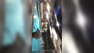 caraasstronut 28 01 2021 i got super tipsy so i went to a public gym and flashed мой tits для вас guys btw the Адалт вэбкамс чат для бесплатное порно