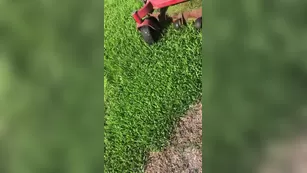HOLLYHOTWIFE Hiring a new lawn crew with мой nip poking out of мой dress чат для бесплатное порно реальный секс