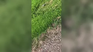 HOLLYHOTWIFE Hiring a new lawn crew with мой nip poking out of мой dress чат для бесплатное порно реальный секс