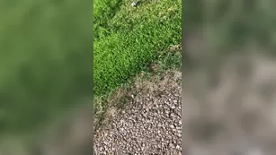 HOLLYHOTWIFE Hiring a new lawn crew with мой nip poking out of мой dress чат для бесплатное порно реальный секс