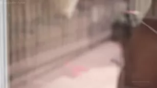 stormimaya i_shot_this_super_sexy_nude_dance_video_of_yeena_love_this_week_isn_t_she_amazing_go_to_on Адалт вэбкамс чат для бесплатное порно реальный секс