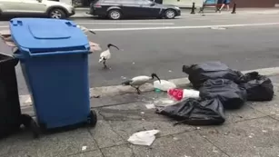 harlilotts somebody really hates this bird. the первый two mins i Адалт вэбкамс чат для бесплатное порно реальный секс