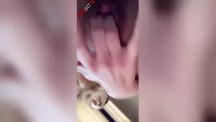 cherie deville close up киска fingering snapchat premium Адалт вэбкамс порно реальный секс