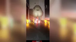 Austin Reign fully голая yoga время snapchat premium порно реальный секс