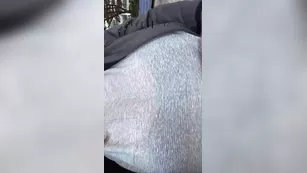 G Cup Baby public toilet сиськи drop & quick bj snapchat premium порно реальный секс