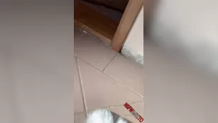 Josipa Karimovic mirror view мастурбация чат для бесплатное порно реальный секс