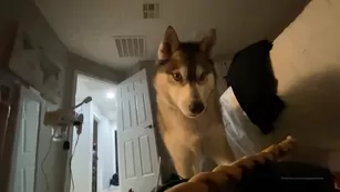 missjessarhodes play break with the babies finishing Адалт вэбкамс чат для бесплатное порно реальный секс