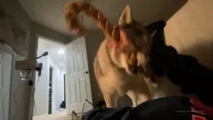 missjessarhodes play break with the babies finishing Адалт вэбкамс чат для бесплатное порно реальный секс