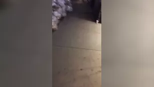 Naughty Alysha public street минет snapchat premium порно реальный секс