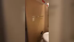 Paige Turnah Room full of mirrors чат для бесплатное порно реальный секс