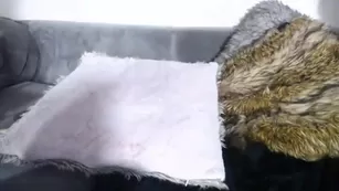 kristenn 13 01 2021 Адалт вэбкамс чат для бесплатное порно