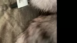 sedonaskyxo чат для бесплатное бесплатное girls просочившийся