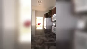 Jessica Payne мальчик девушка burglar roleplay snapchat premium порно реальный секс