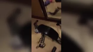 Valerie Kay дилдо киска mastubation black stocking snapchat premium порно реальный секс