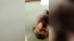 Rainey James sexy triptease snapchat premium 2018/08/15 порно реальный секс