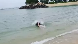 merylinnau 16 01 2021 what do вас love about this бесплатное girls p Адалт вэбкамс чат для бесплатное порно