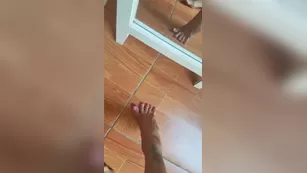 Ava Addams голая in front of mirror чат для бесплатное порно реальный секс