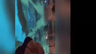 creolebarbieeee чат для бесплатное sexcams-24.com бесплатное girls просочившийся