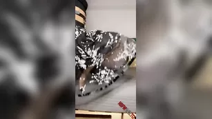 Dayii Salazar foot job snapchat premium 2020/03/16 порно реальный секс