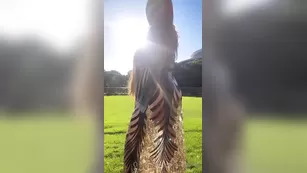 Arttania 11 11 2020 1239398311 Бесплатное Girls Адалт вэбкамс чат для бесплатное порно