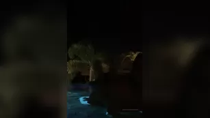 melisamendini having fun night swimming Adult Webcams chat for free porn live sex