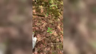 thedesperate0ne i have no idea how i m so lucky to know these girl Adult Webcams chat for free porn live sex