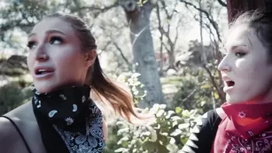 destructive lesbians