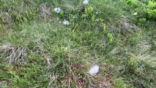 katyaclover this summer i had amazing trip Адалт вэбкамс чат для бесплатное порно реальный секс