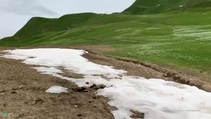 katyaclover this summer i had amazing trip Адалт вэбкамс чат для бесплатное порно реальный секс