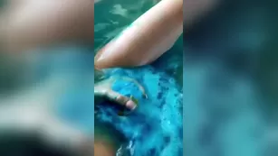 Lynaritaa all in one бесплатное girls snapchat premium порно реальный секс