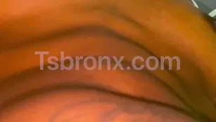 tsbronx playing with college trans guy Адалт вэбкамс чат для бесплатное порно реальный секс