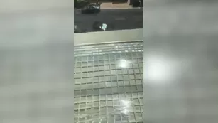 Heidi Grey vacaction шоу порно реальный секс