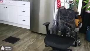 morganxu Chaturbate cam порно реальный секс