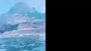 grazimourao чат для бесплатное sexcams-24.com бесплатное girls просочившийся