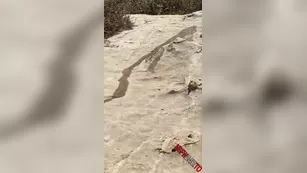 Heidi Grey outdoor pee snapchat premium порно реальный секс