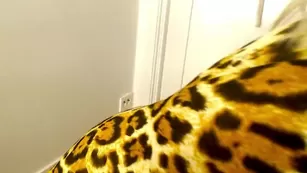 MsKavallari kitty play время порно реальный секс