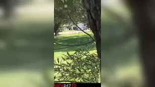 Luna raise gotta go find taht tree to play snapchat premium порно реальный секс