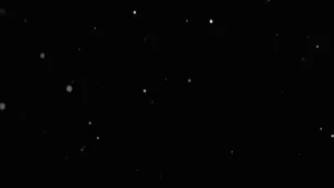 scarlet bouvier bouvss sexcams-24.com бесплатное girls чат для бесплатное просочившийся